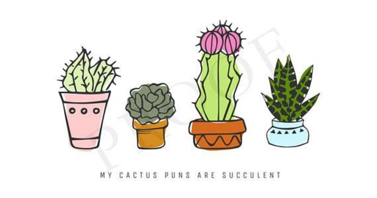 Cactus Puns