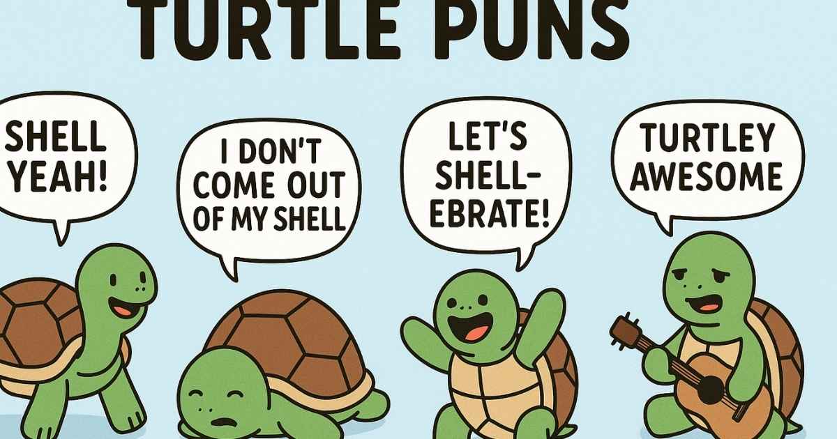 Turtle Puns